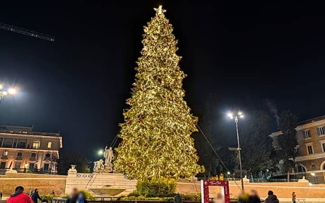 ポポロ広場のクリスマスツリー2025